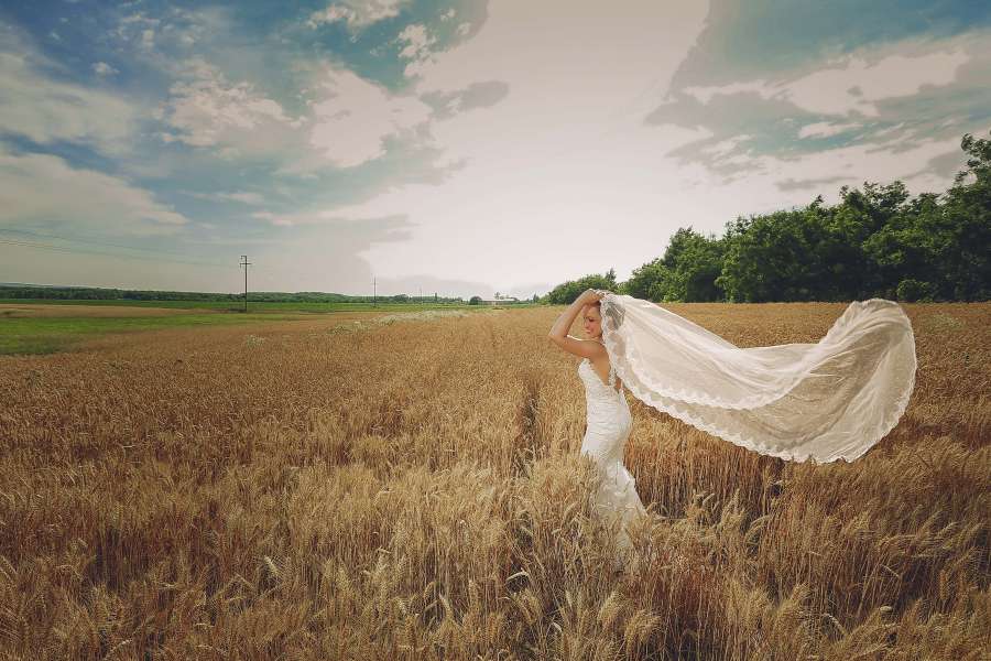 wheatfield, bride, ?wedding? dress, summer 