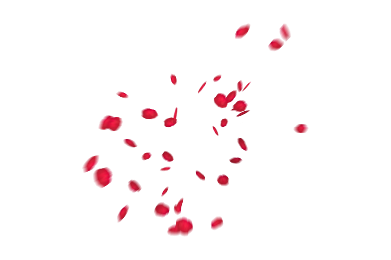 🥇 Image of Falling Red Rose Petals Overlay PNG - 【FREE PHOTO】 100034155