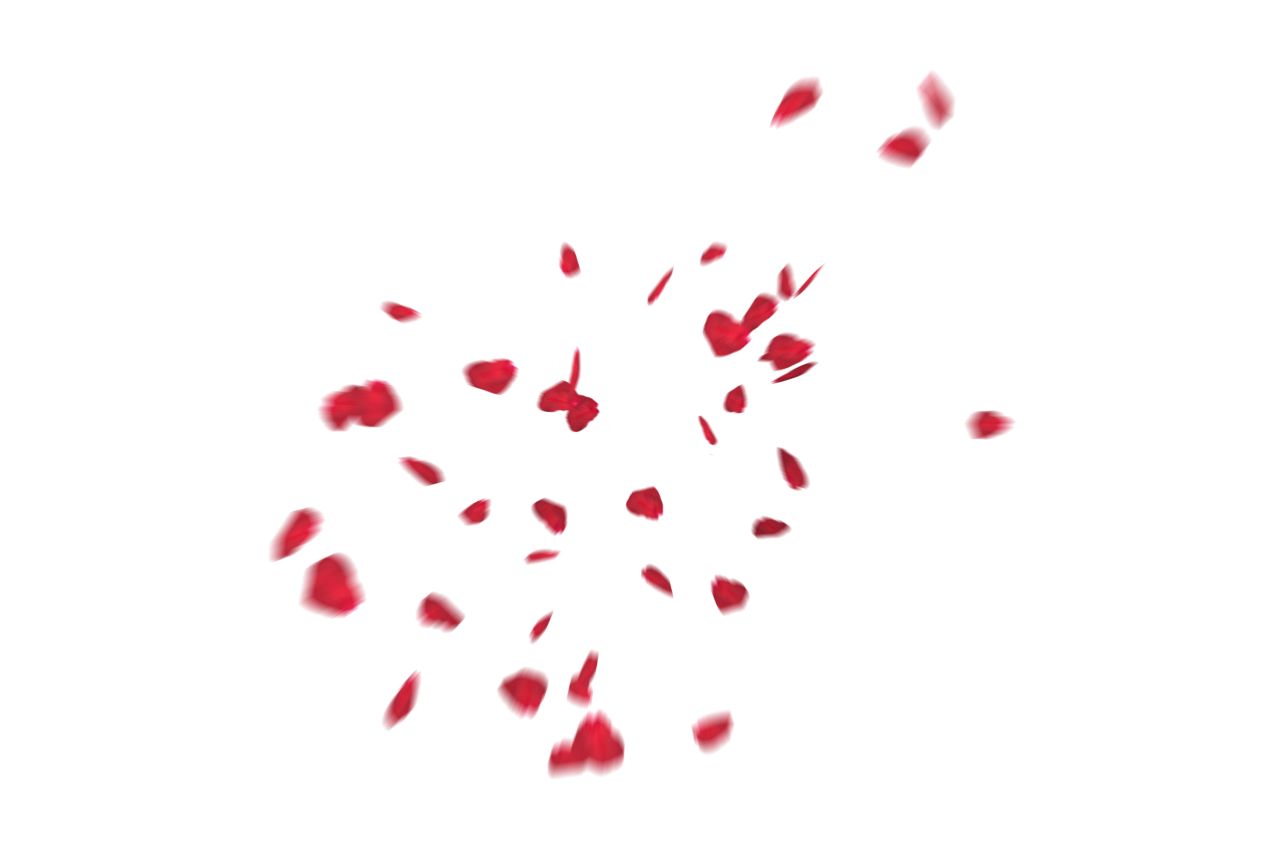 🥇 Image of Falling Red Rose Petals Overlay PNG - 【FREE PHOTO】 100034157