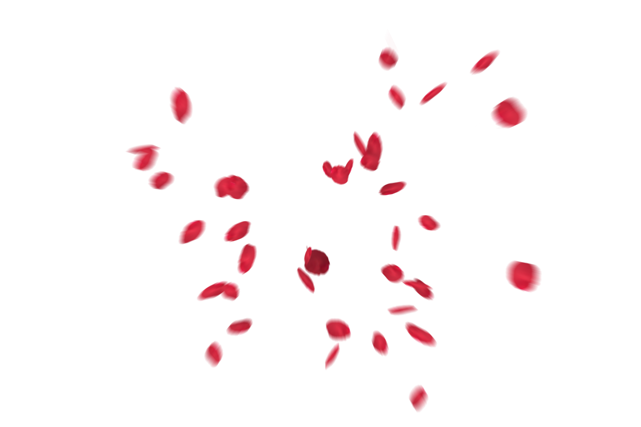 🥇 Image of Falling Red Rose Petals Overlay PNG - 【FREE PHOTO】 100034159