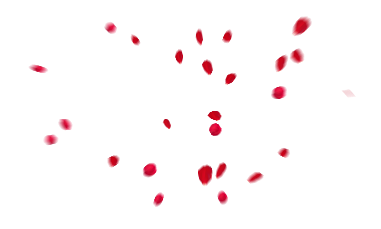 🥇 Image of Falling Red Rose Petals Overlay PNG - 【FREE PHOTO】 100034162