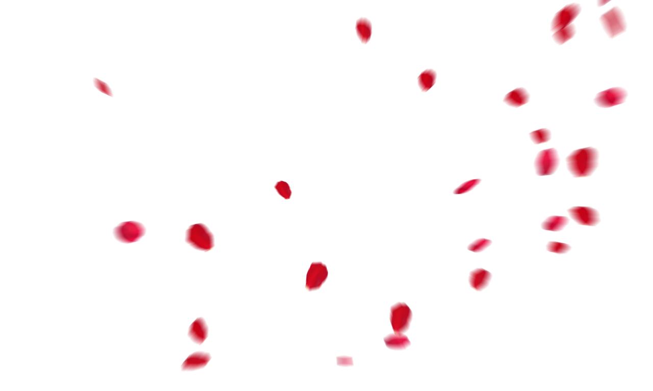 🥇 Image of Falling Red Rose Petals Overlay PNG - 【FREE PHOTO】 100034163