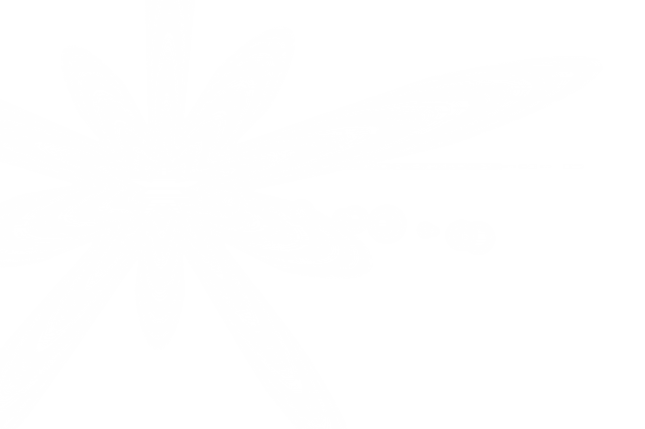 poeira flutuante, sobreposição, png, poeira, plano de fundo, textura, flutuante, projeto, isolado, partículas