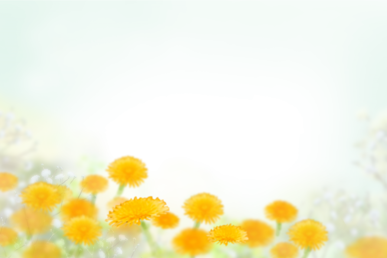 Flores pintadas, sobreposição, png, fundo, flor, primavera, natureza, design, decoração, floral, espaço de cópia, lindo, verão, flor, temporada, arte, abstrato, colorido, natural, páscoa, cartão, buquê, celebração, feriado, padronizar, ilustração, quadro, quadro, pintura, gráfico, aquarela, tradicional, pastel, criativo, modelo, casamento, vintage, cartão, decorado, vazio, na moda, mínimo, pintado à mão