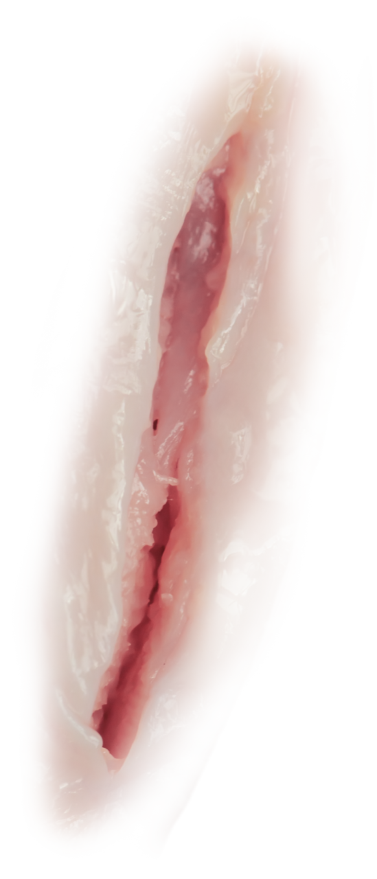 wound,overlay,png,meat,food,freshness,backgrounds,meal,animal,gourmet,pork,close-up