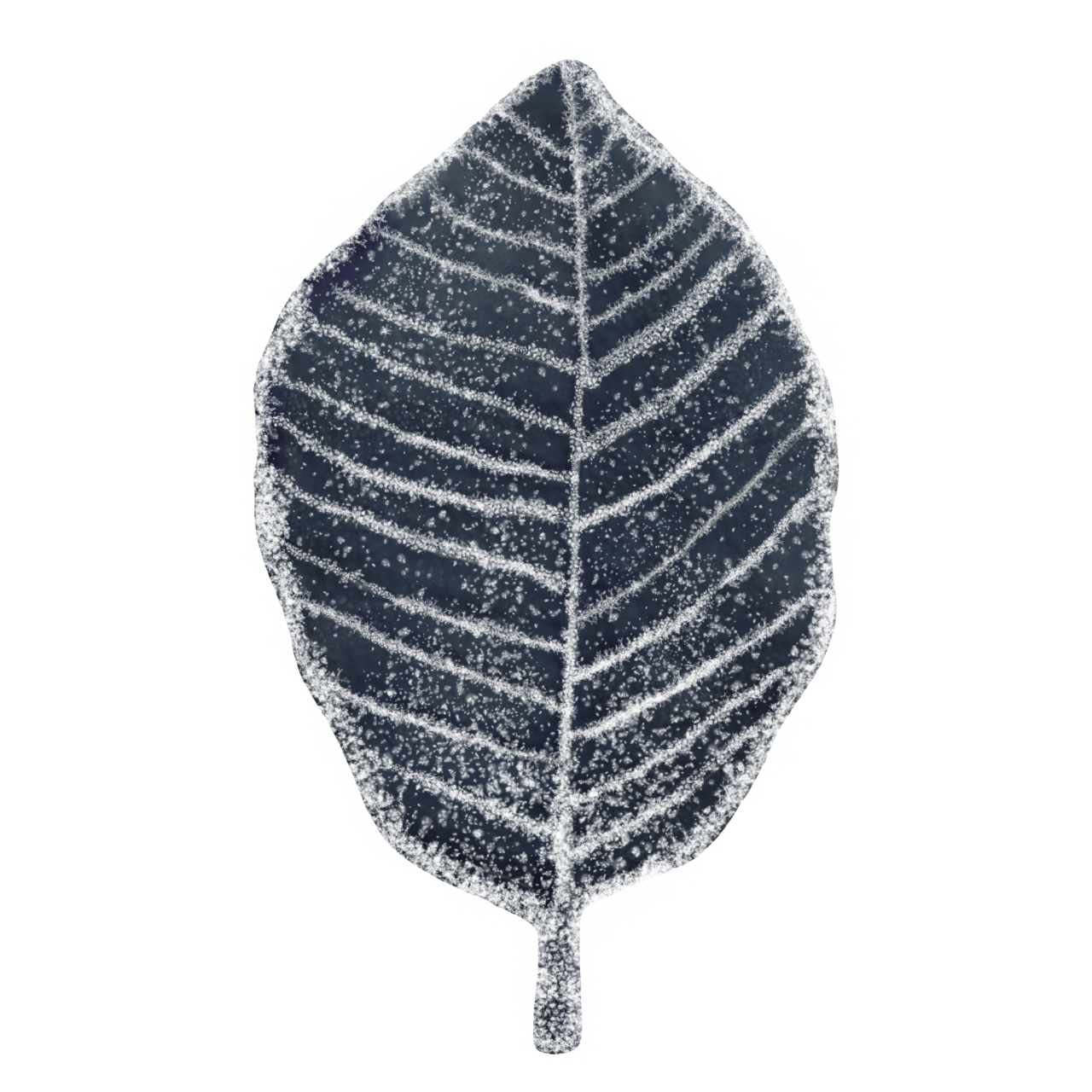  Winter Leaves, Overlay, png, nature, leave, winter, geometric, christmas, ornament, tattoo, plant, petals, graphic, pattern, frame, organic, foliage, leaf, season, renewal, frozen