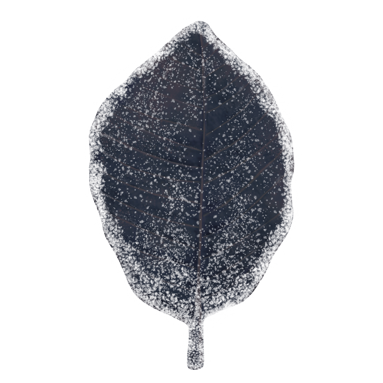  Winter Leaves, Overlay, png, nature, leave, winter, geometric, christmas, ornament, tattoo, plant, petals, graphic, pattern, frame, organic, foliage, leaf, season, renewal, frozen