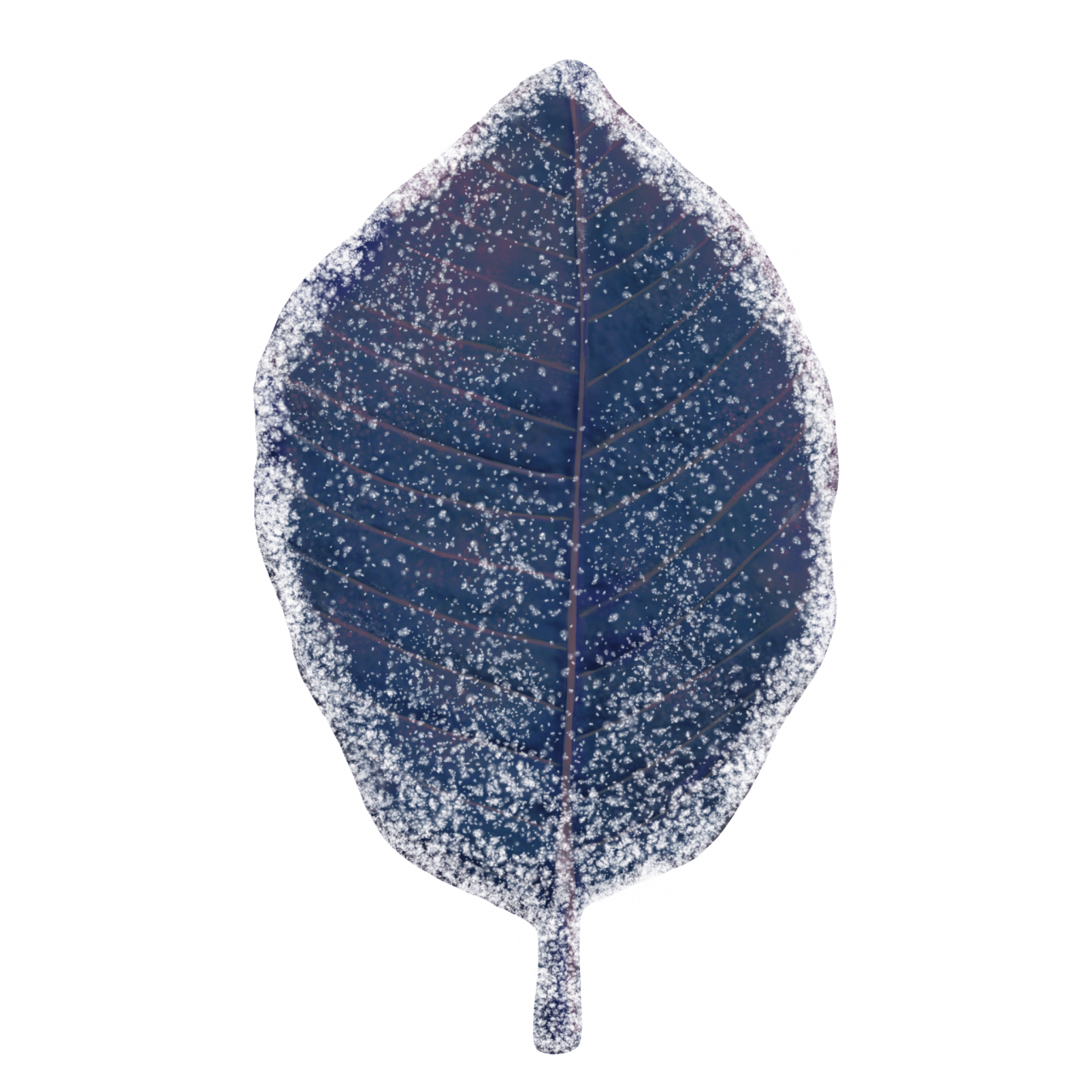  Winter Leaves, Overlay, png, nature, leave, winter, geometric, christmas, ornament, tattoo, plant, petals, graphic, pattern, frame, organic, foliage, leaf, season, renewal, frozen