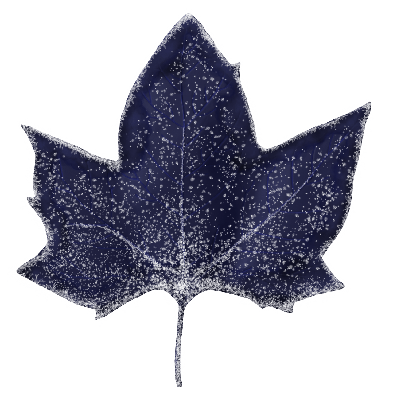 Winter Leaves, Overlay, png, nature, leave, winter, geometric, christmas, ornament, tattoo, plant, petals, graphic, pattern, frame, organic, foliage, leaf, season, renewal, frozen