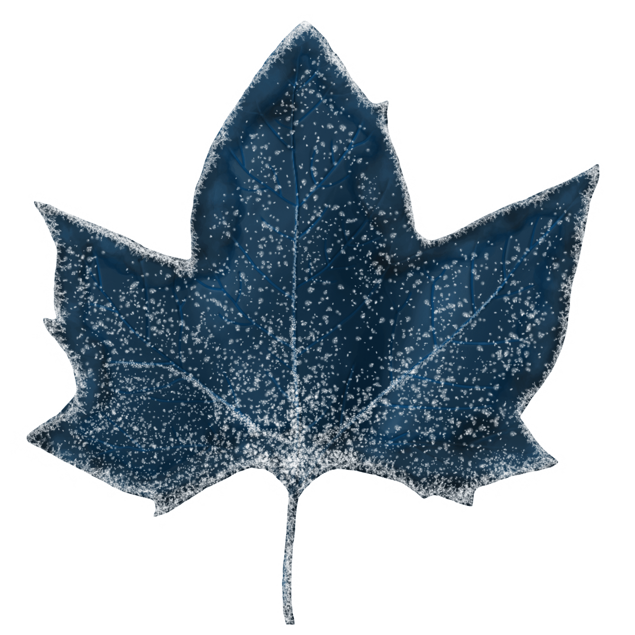  Winter Leaves, Overlay, png, nature, leave, winter, geometric, christmas, ornament, tattoo, plant, petals, graphic, pattern, frame, organic, foliage, leaf, season, renewal, frozen