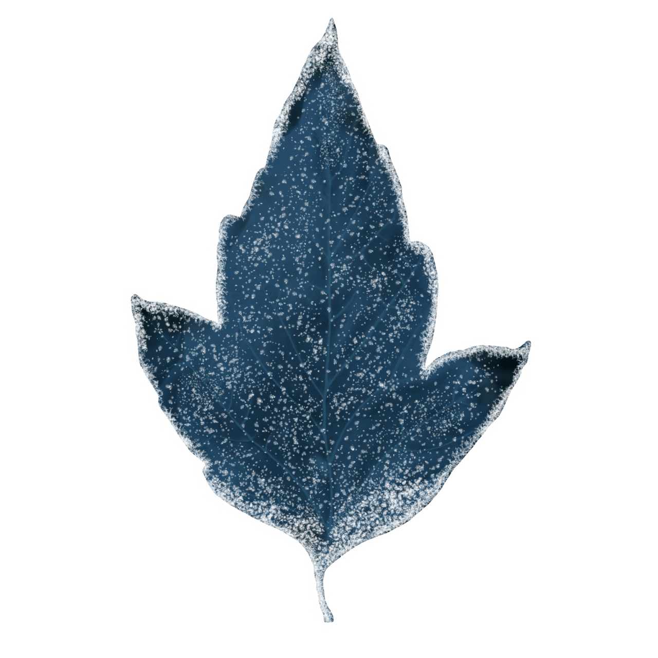  Winter Leaves, Overlay, png, nature, leave, winter, geometric, christmas, ornament, tattoo, plant, petals, graphic, pattern, frame, organic, foliage, leaf, season, renewal, frozen