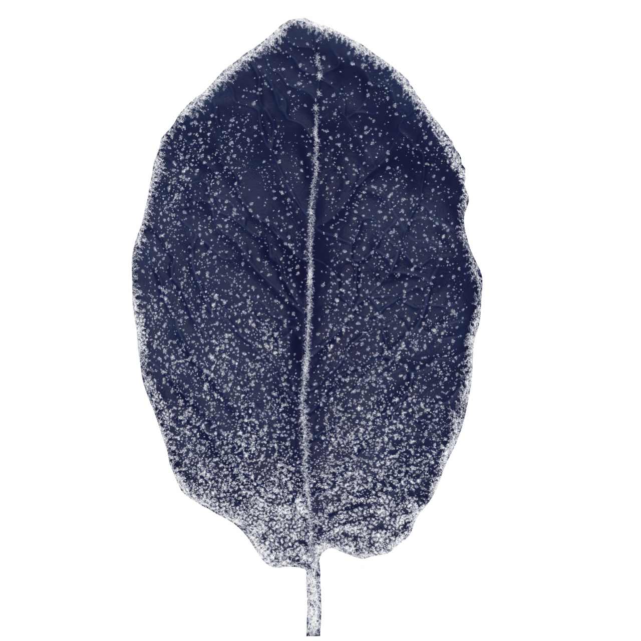  Winter Leaves, Overlay, png, nature, leave, winter, geometric, christmas, ornament, tattoo, plant, petals, graphic, pattern, frame, organic, foliage, leaf, season, renewal, frozen
