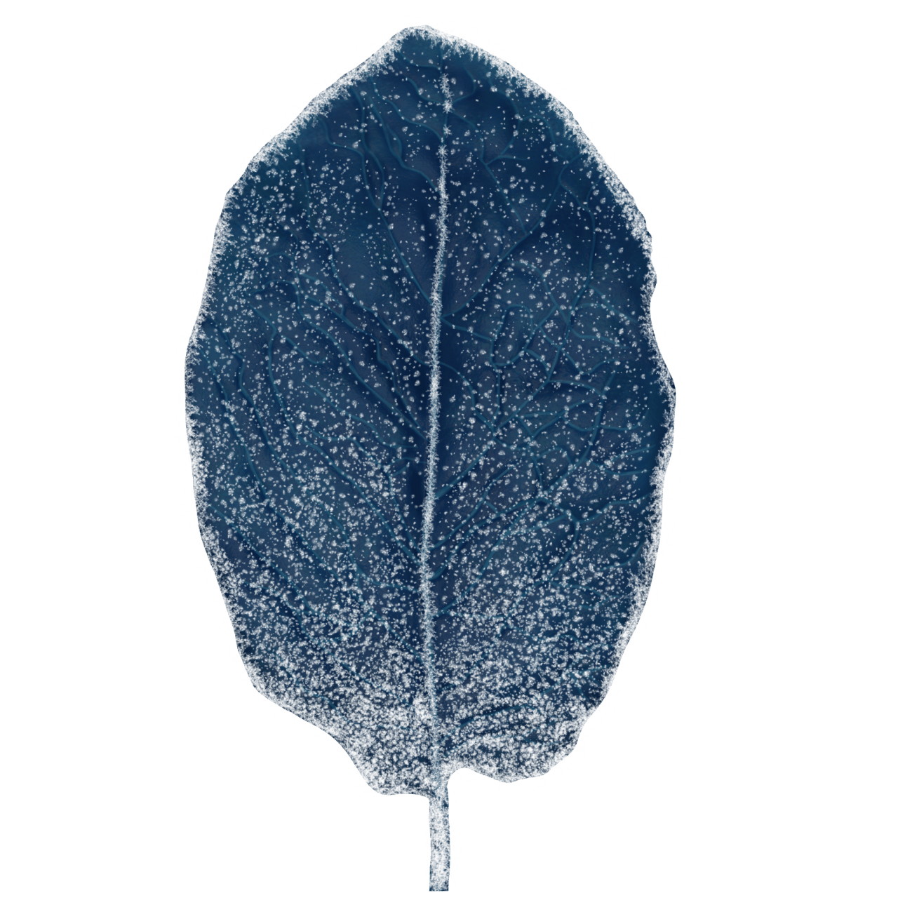  Winter Leaves, Overlay, png, nature, leave, winter, geometric, christmas, ornament, tattoo, plant, petals, graphic, pattern, frame, organic, foliage, leaf, season, renewal, frozen