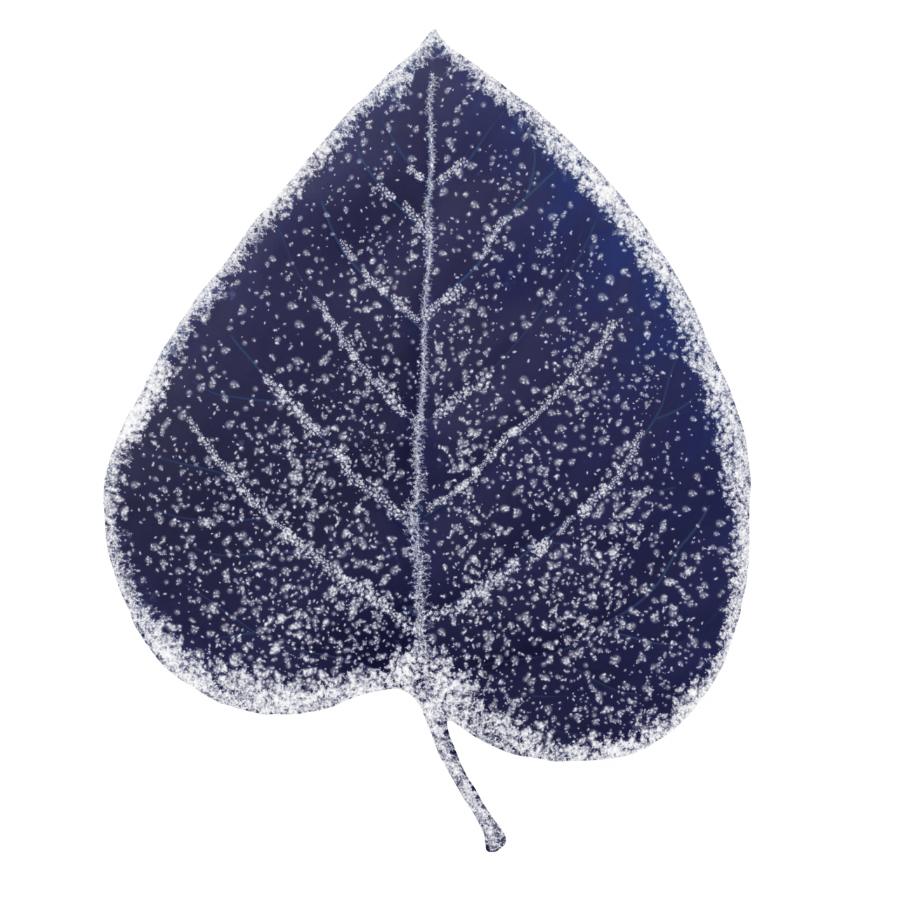  Winter Leaves, Overlay, png, nature, leave, winter, geometric, christmas, ornament, tattoo, plant, petals, graphic, pattern, frame, organic, foliage, leaf, season, renewal, frozen