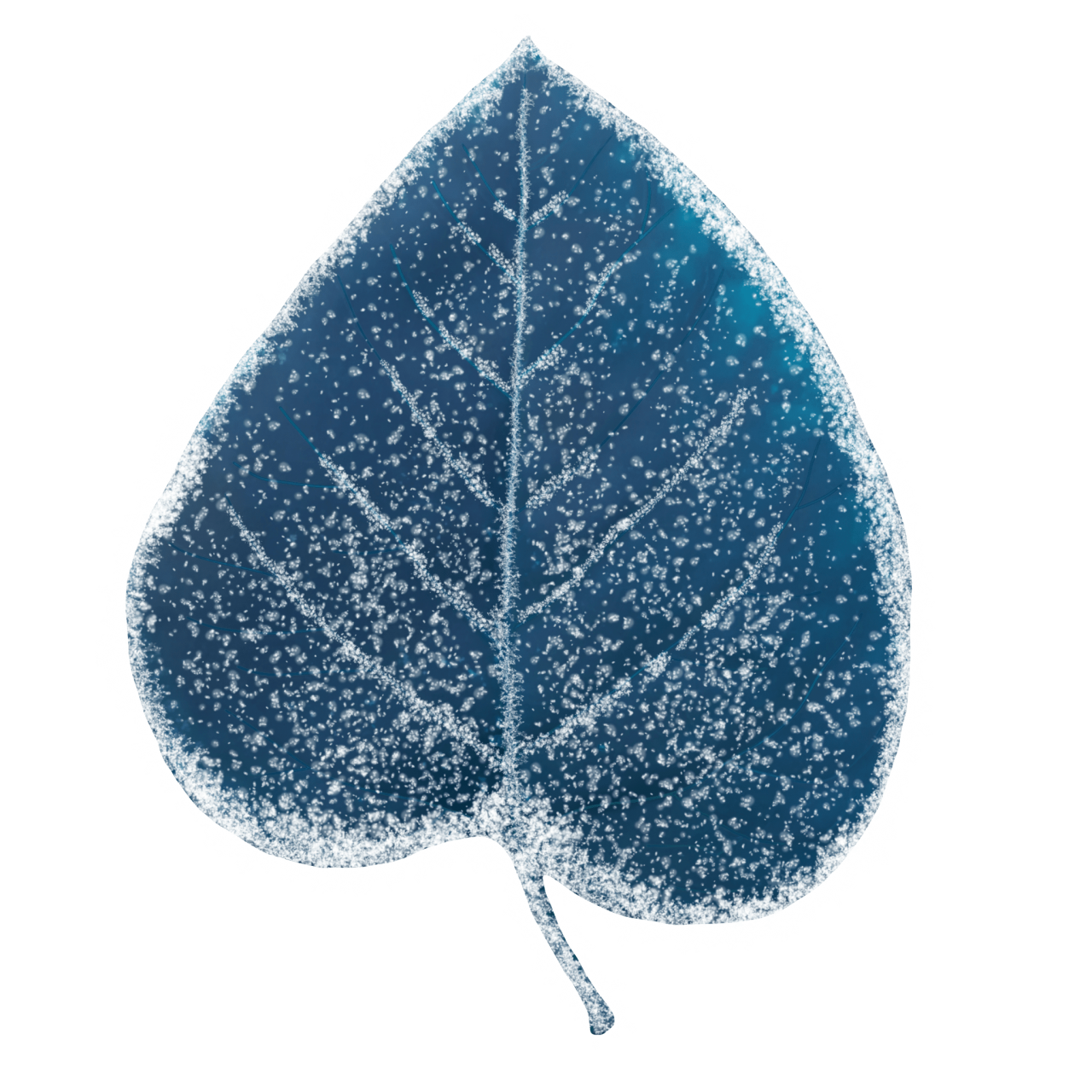  Winter Leaves, Overlay, png, nature, leave, winter, geometric, christmas, ornament, tattoo, plant, petals, graphic, pattern, frame, organic, foliage, leaf, season, renewal, frozen