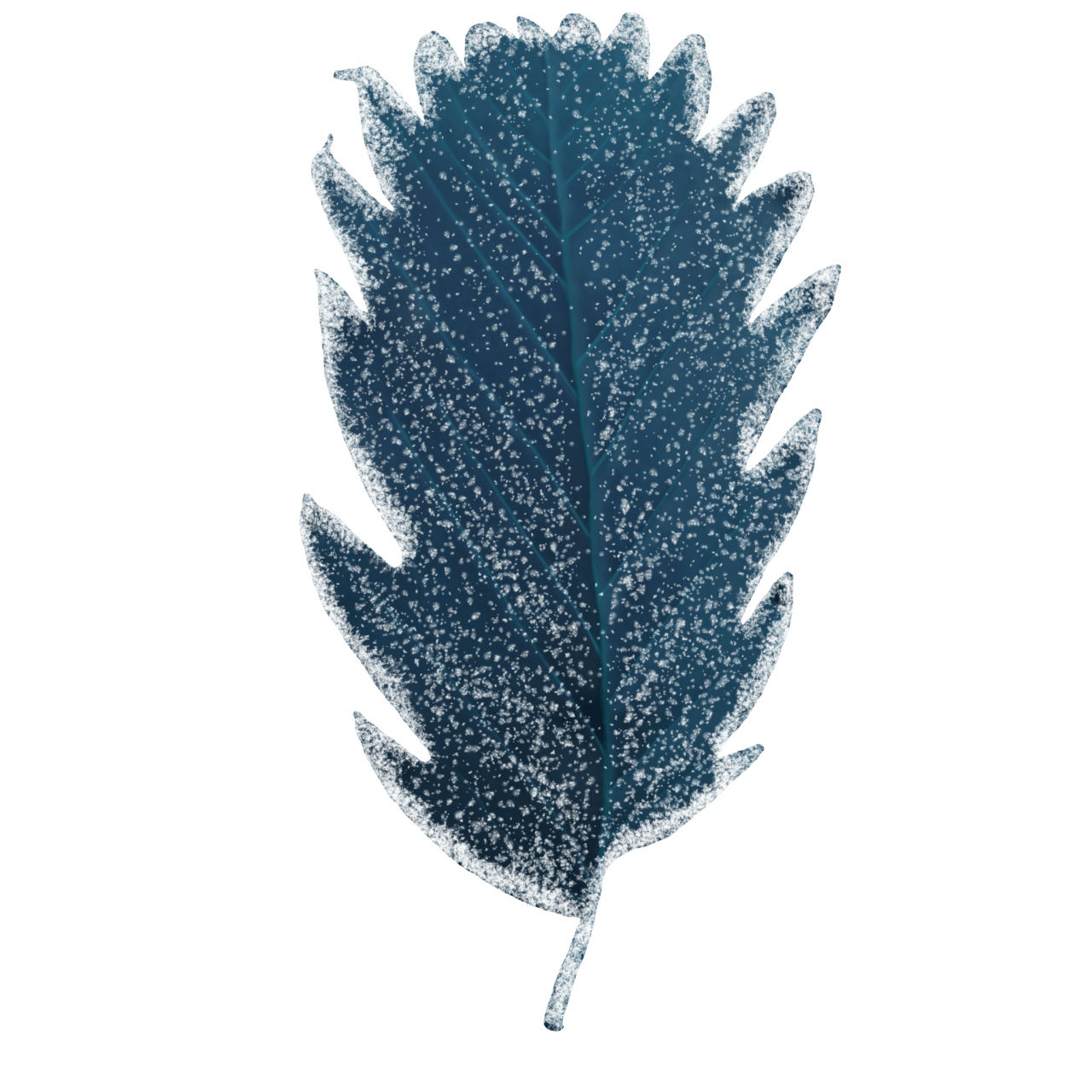  Winter Leaves, Overlay, png, nature, leave, winter, geometric, christmas, ornament, tattoo, plant, petals, graphic, pattern, frame, organic, foliage, leaf, season, renewal, frozen