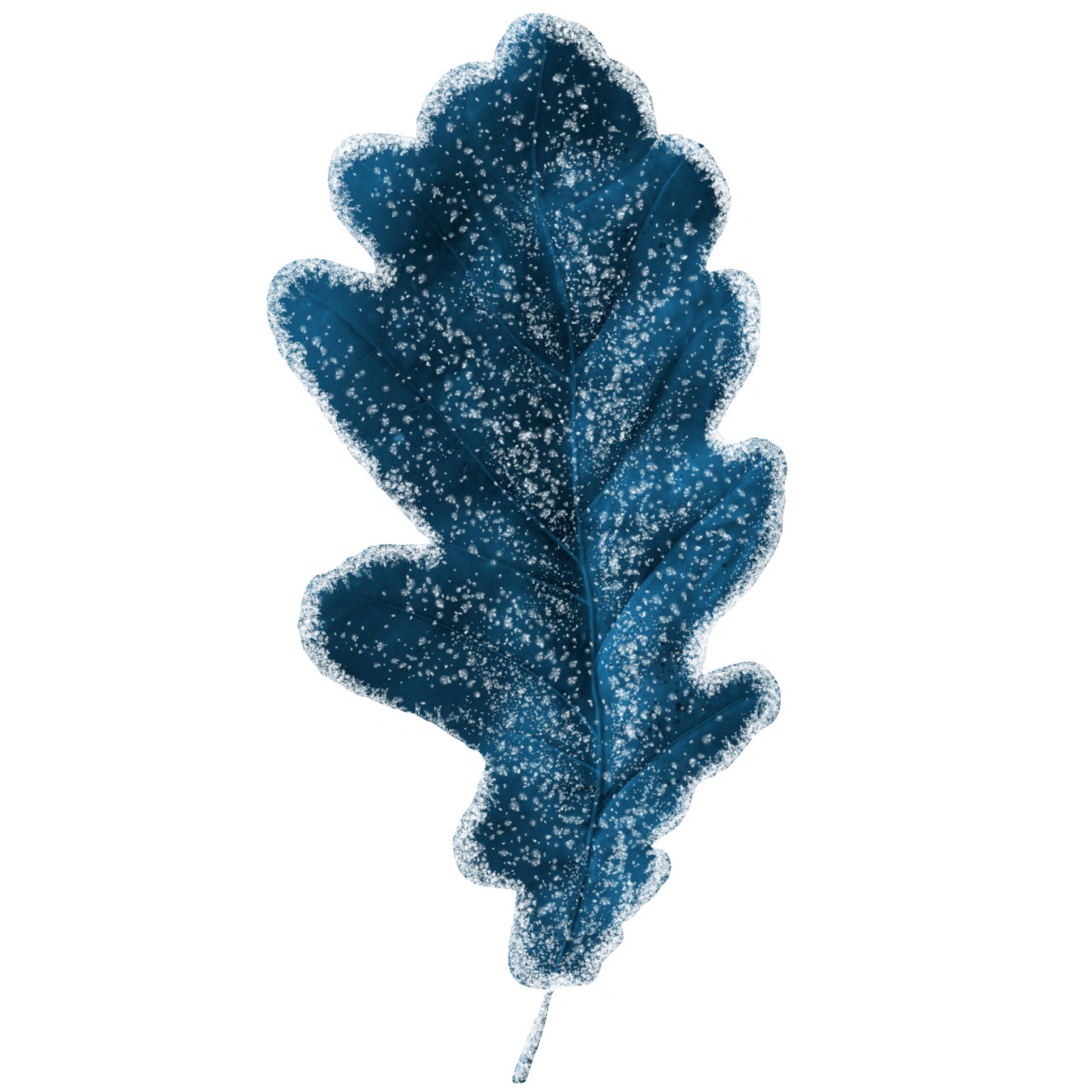  Winter Leaves, Overlay, png, nature, leave, winter, geometric, christmas, ornament, tattoo, plant, petals, graphic, pattern, frame, organic, foliage, leaf, season, renewal, frozen