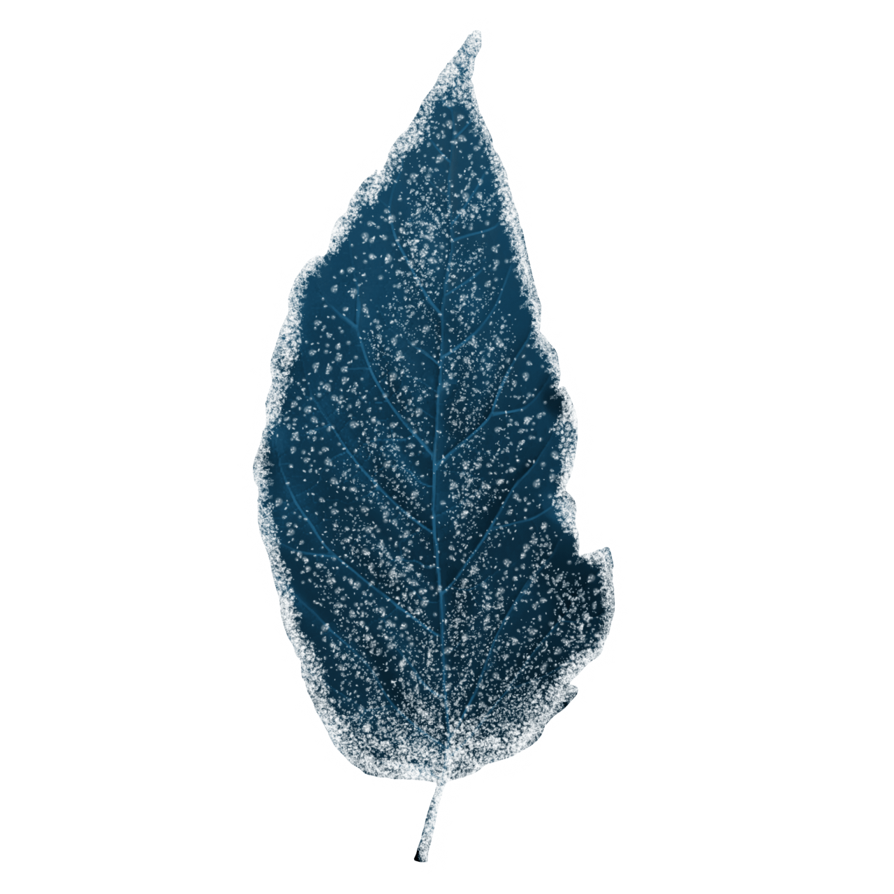  Winter Leaves, Overlay, png, nature, leave, winter, geometric, christmas, ornament, tattoo, plant, petals, graphic, pattern, frame, organic, foliage, leaf, season, renewal, frozen