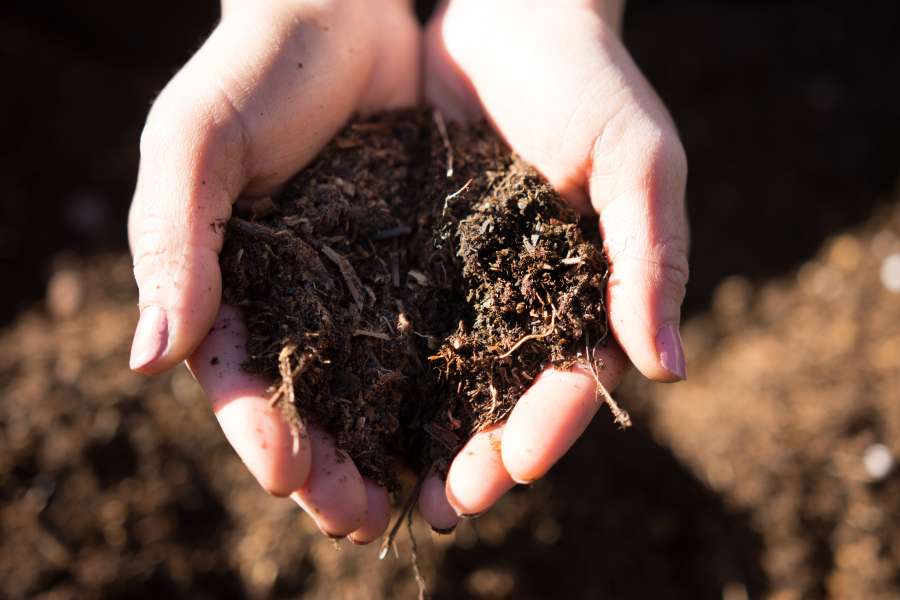 woman, hands, soil, cultivation, fertil, gardening, sustainable, holding, concept, natural, fresh, compost, compost, compost,
