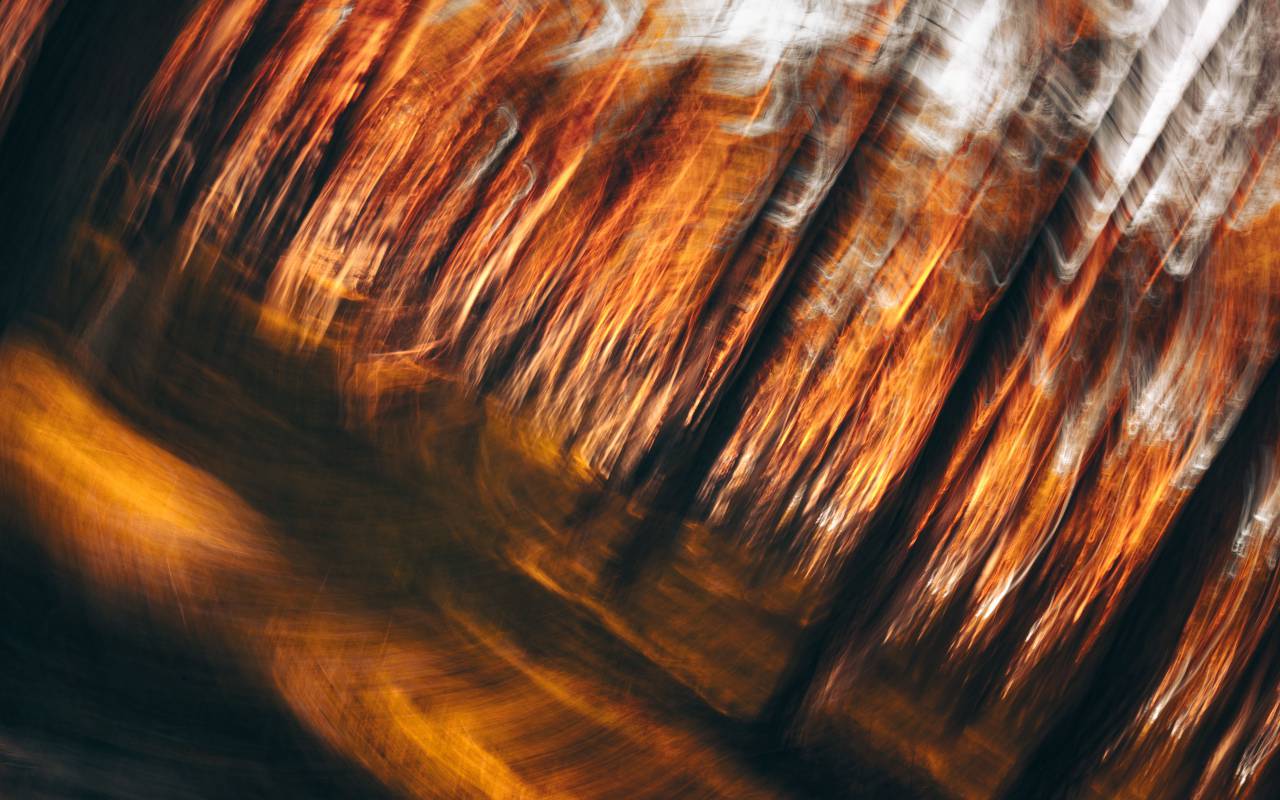 abstract, forest, nature, background, blur, natural, light, green, foliage, environment, colorful, season, summer, tree, bright, spring, texture, landscape, design, day, sunlight, garden, color, beautiful, bokeh, blurred, wallpaper, outdoor, sun, fresh, beauty, soft, focus, decoration, pattern, scenic, ecology, blurry, autumn, nobody, trees, shiny, effect, greenery, sunny, art, 