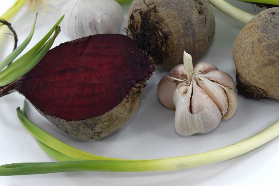 beetroot, garlic, onion, vegetable, bulb 