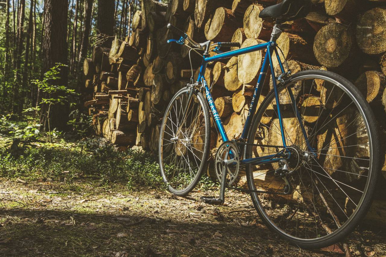 bike, bicycle, fitness, exercise, outdoors, wood, forest, nature, woods, trees, lumber, sun
, 