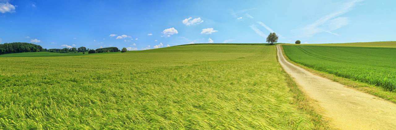 Verde, granja, campo, pantalla panorámica, papel tapiz, cielo azul, césped, verano, todavía, hd, amarillo, ruta, carretera,