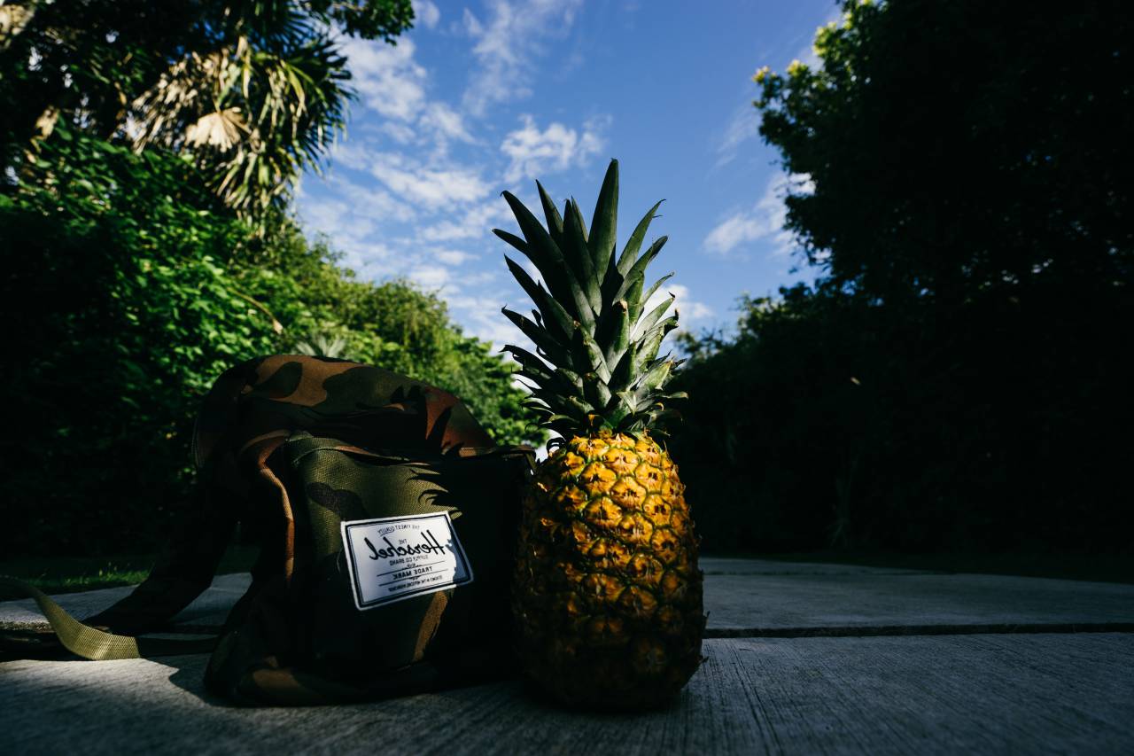 pineapple, dessert, appetizer, fruit, juice, crop, road, bag, herschel, trees, nature, clouds, sky, green, leaves
, 