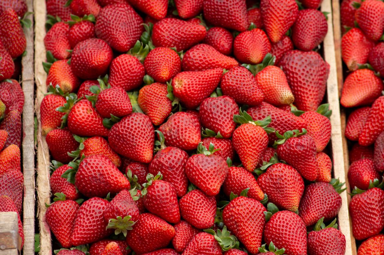 Full frame, Fresh, Strawberries, Local market, Fruit, Produce, Seasonal, Red, Delicious, Juicy, Healthy, Nutrition, Organic, Food, Agriculture, Farming, Natural, Sustainable, Culinary, Ingredient, Sweet, Appetizing, Shopping, box, 