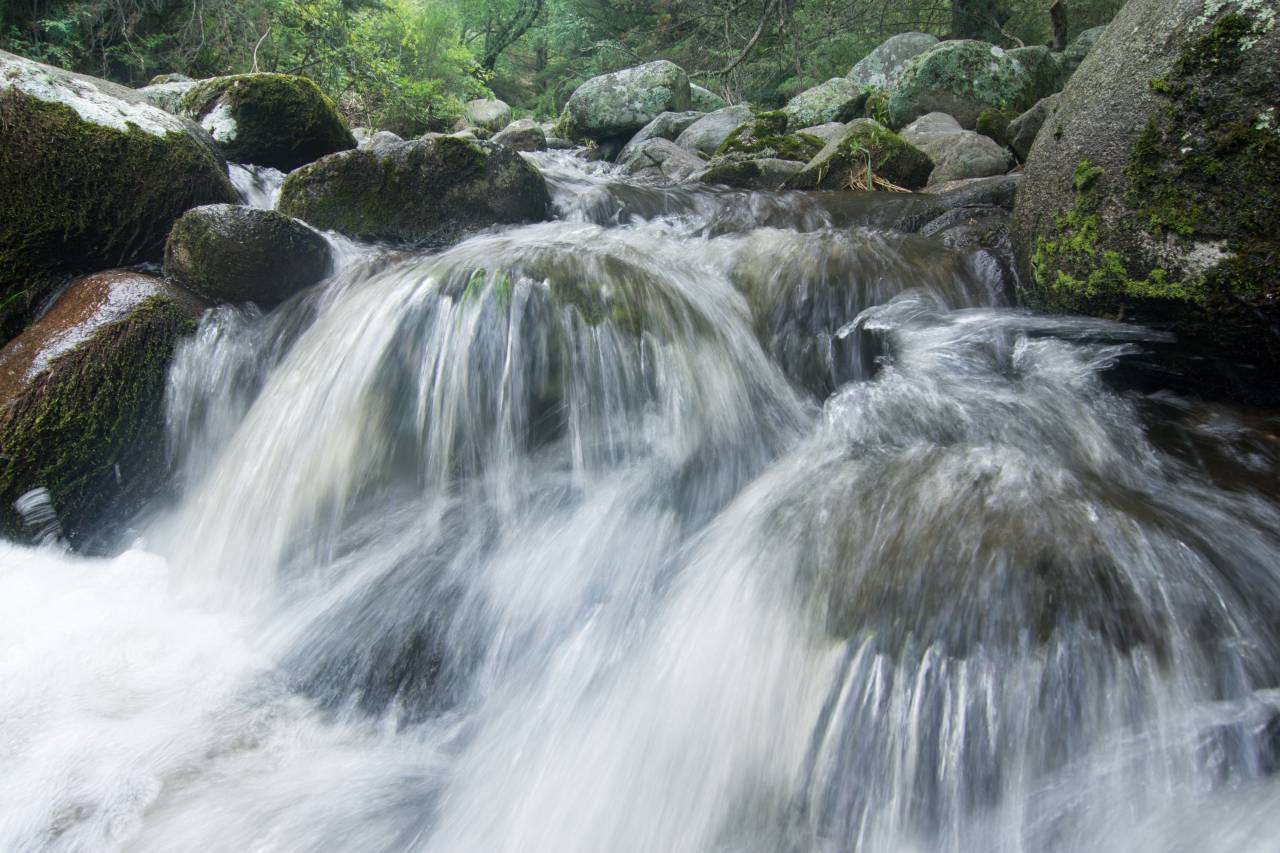 Montaña, Río, Que fluye, Rocas, Bosque, Naturaleza, Desierto, Aventura, Escénico, Paisaje, Aire libre, Rápidos, Agua, Corriente, Natural, Belleza, Majestuoso, Fresco, Verde, Azul, Salvaje, Salpicaduras, Espuma, Sereno, Tranquilo,
