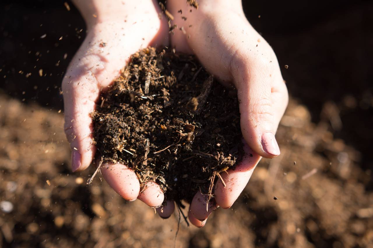 Mujer, Manos, Explotación, Fresco, Abono, Jardinería, Suelo, Orgánico, Fertilizante, Sostenible, Natural, Medio ambiente, Ecológico, De cosecha propia, Rico en nutrientes, Verde, Siembra, Creciente, Jardín, Tierra, Cultivar, Agricultura, Estilo de vida, Salud,