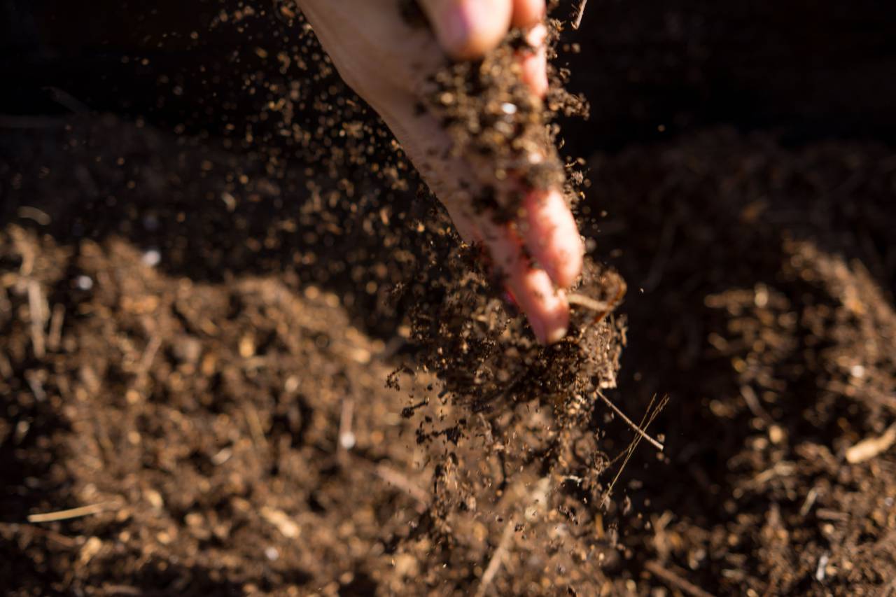 Mujer, Manos, Explotación, Fresco, Abono, Jardinería, Suelo, Orgánico, Fertilizante, Sostenible, Natural, Medio ambiente, Ecológico, De cosecha propia, Rico en nutrientes, Verde, Siembra, Creciente, Jardín, Tierra, Cultivar, Agricultura, Estilo de vida, Salud,