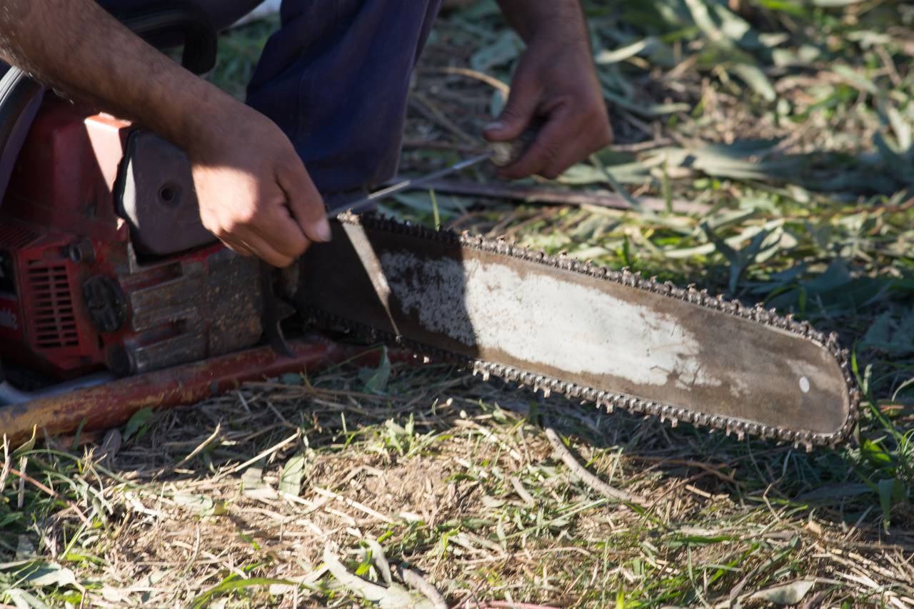 chainsaw, woodcutter, sharpening, tool, work, forest, saw, maintenance, blade, cutting, safety, equipment, machine, occupation, outdoors, logging, industry, power, repair, technology, worker, hardhat, helmet, steel, 