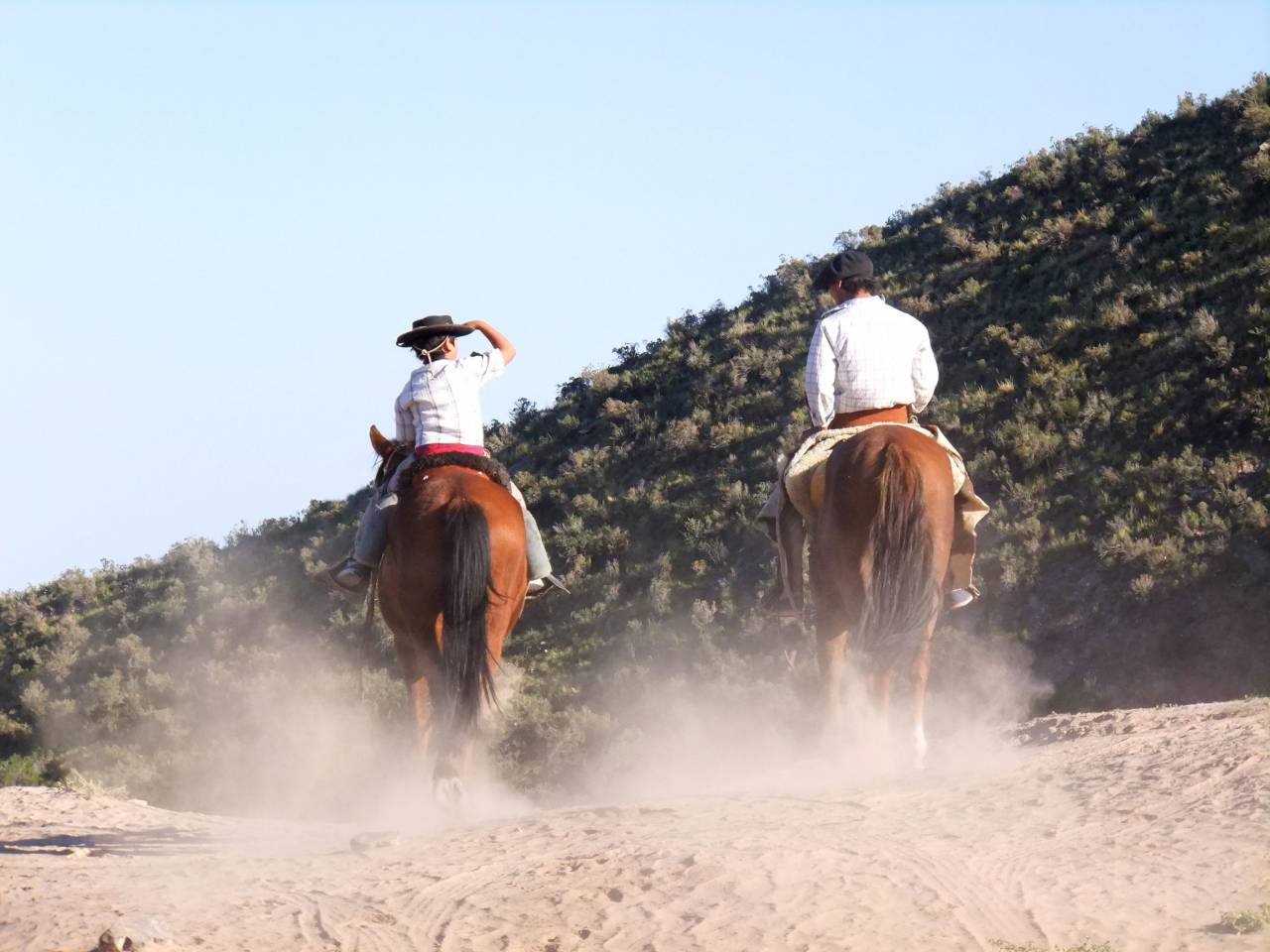 gaucho, typical, rural scene, latin america, south america, uruguay, paraguay, argentina, tradition, people, horse, 