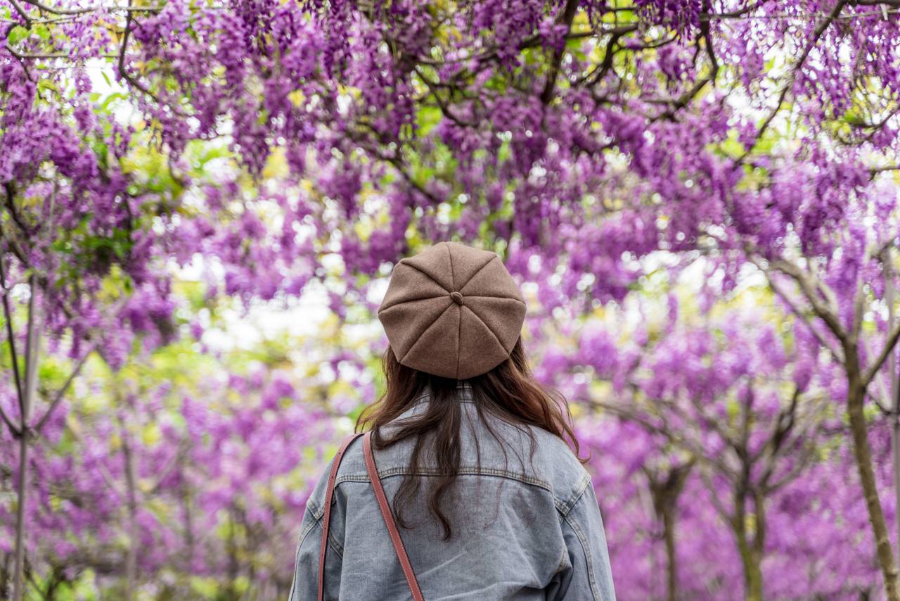 mujer;al aire libre;morado;flores,