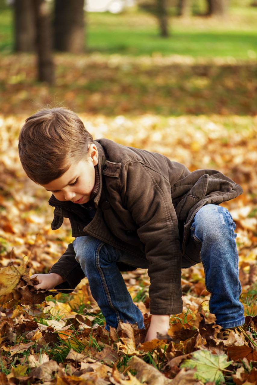 otoño, al aire libre, juegos, naturaleza, pequeño, otoño, niño, feliz, infancia, temporada, hoja, pequeño, joven, niño, recolección, parque, recolección, moda, junior, estilo, niño, ropa, niñito, niño, jugando, marrón, hojas, gente, hijo,