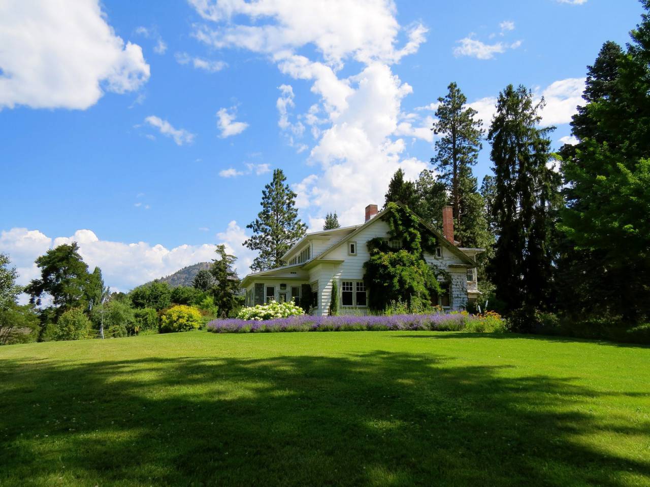blue, sky, clouds, green, grass, trees, playground, shade, nature, house
, 