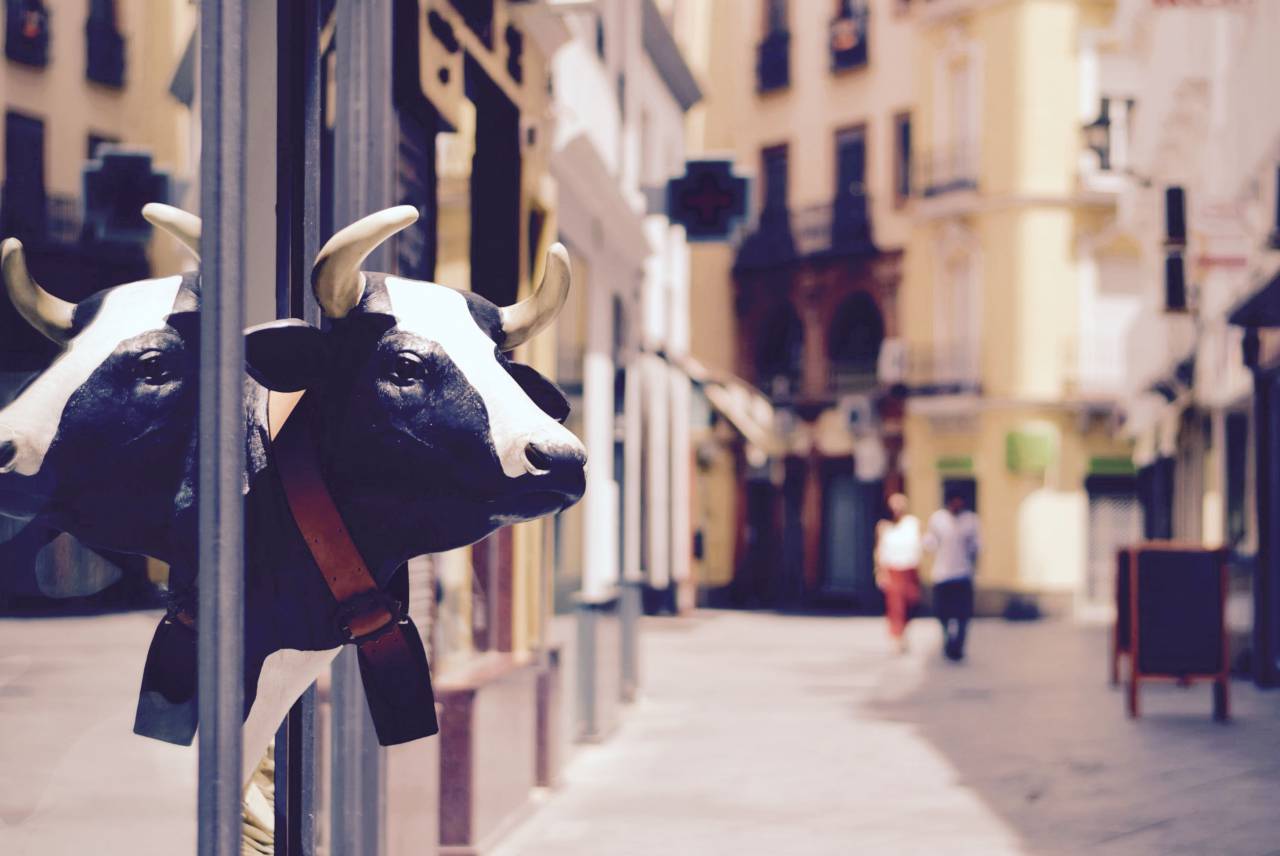 acera, animales, ciudad, restaurante, vaca,