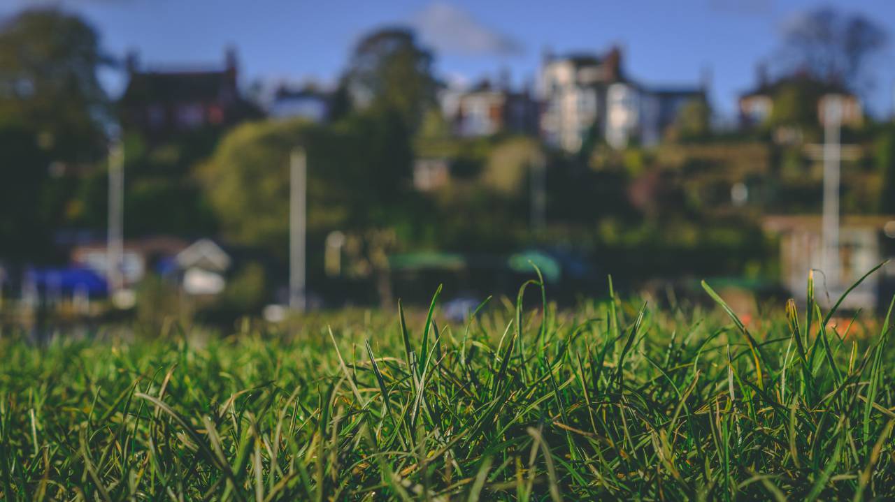Hierba, paisaje, primer plano, cielo, azul, verde, barco, casa, otoño, bokeh,