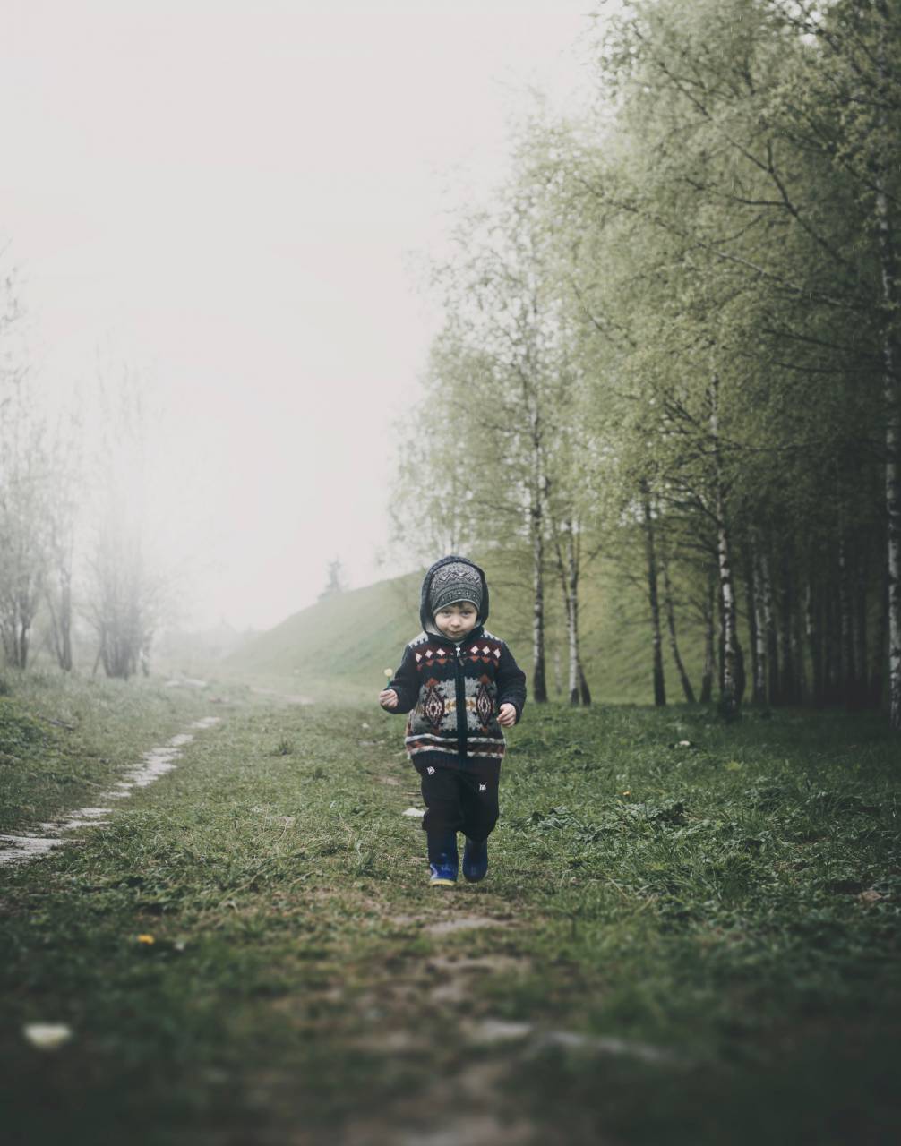 green, grass, trees, highland, nature, outdoor, rain, fog, people, kid, child, boy, baby
, 