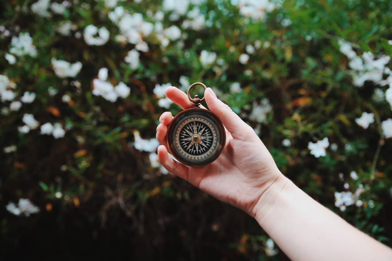 green, plants, flower, nature, blur, hand, palm, arm, watch, compass
, 