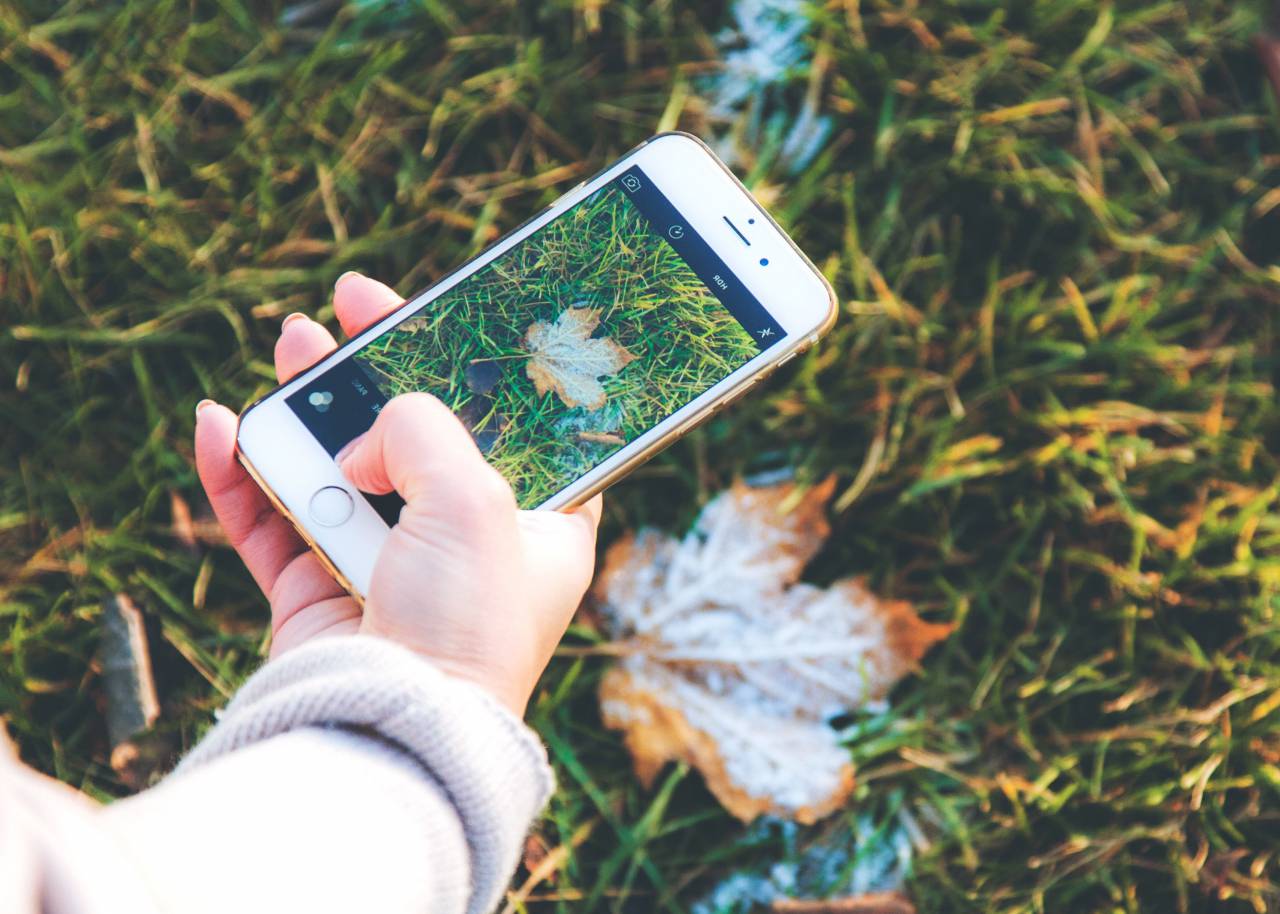 Iphone, cámara, imagen, fotografía, fotógrafo, smartphone, teléfono celular, hojas, césped, naturaleza, otoño, otoño,