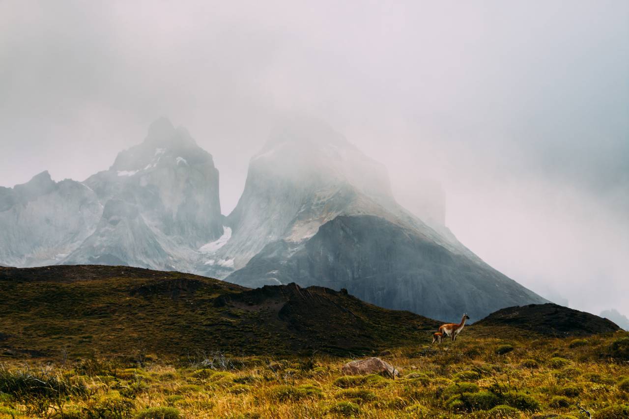 mountain, highland, cloud, sky, summit, ridge, landscape, nature, valley, peak, green, grass, goat, animal, fog
, 
