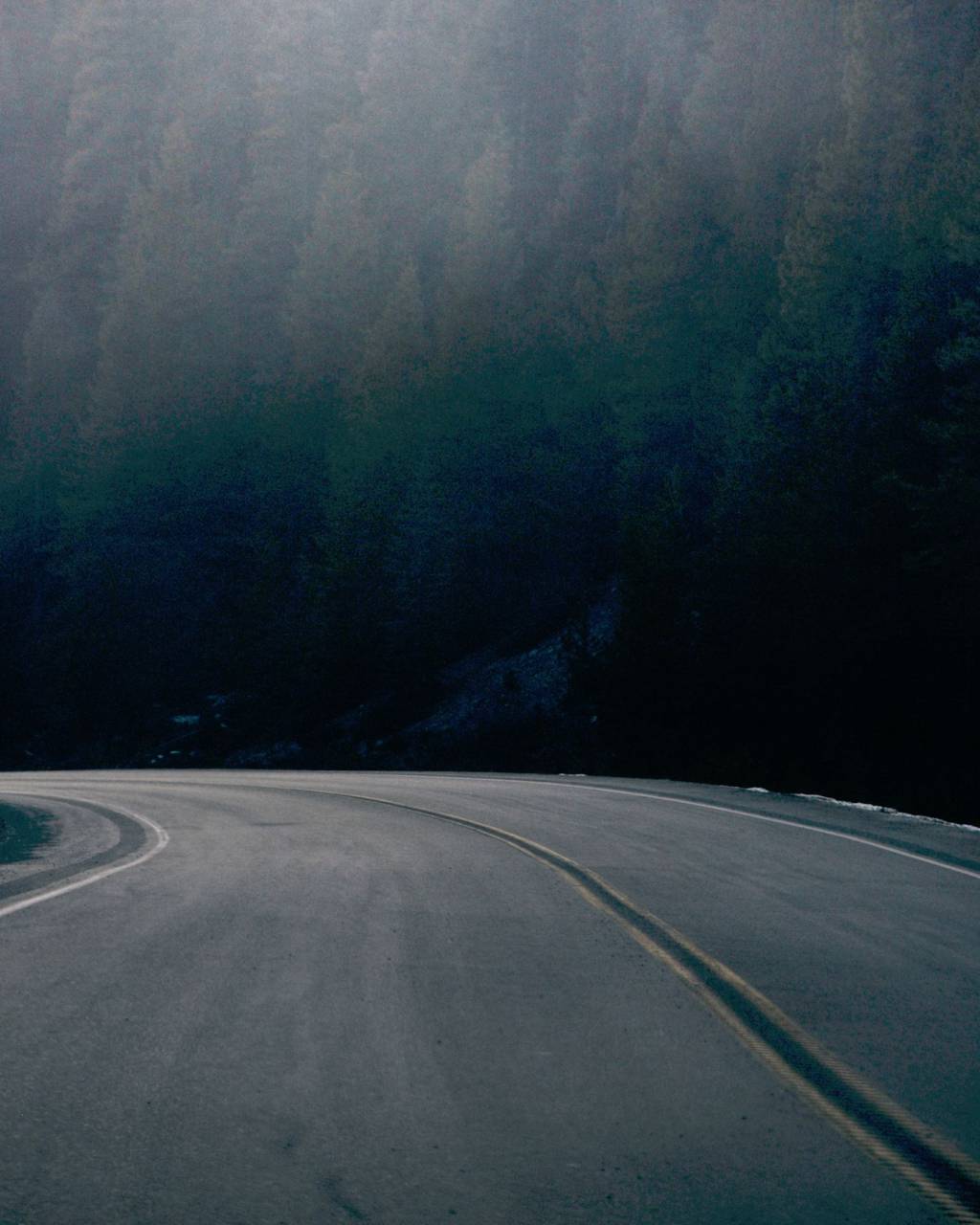 nature, empty, road, trees, woods, forest
, 