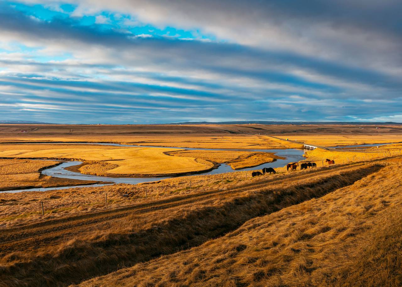 naturaleza, paisaje, verde, césped, campo, animal, granja, viajes, aventura, nubes, cielo, verano, azul,