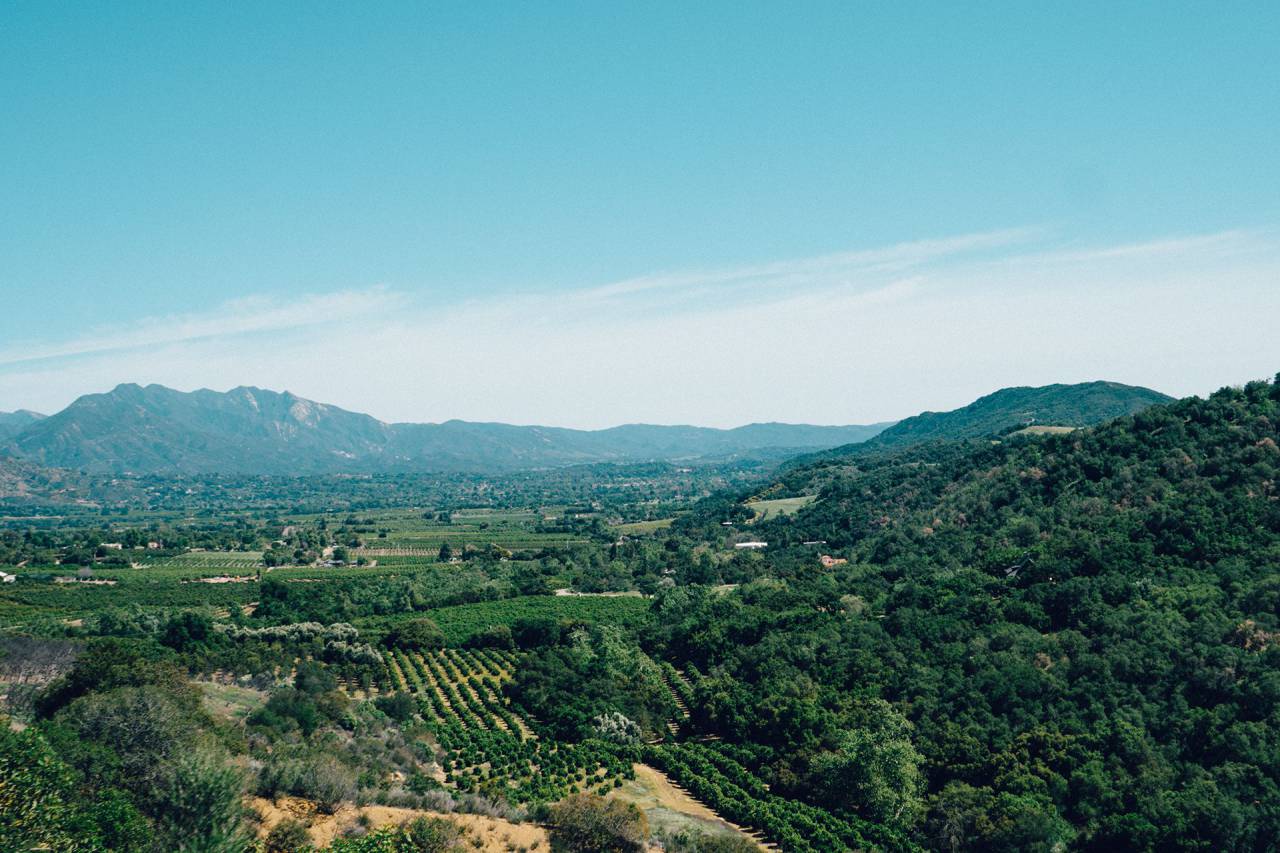 Ojai, California, vineyards, landscape, green, grass, fields, mountains, blue, sky, sunny, sunshine
, 