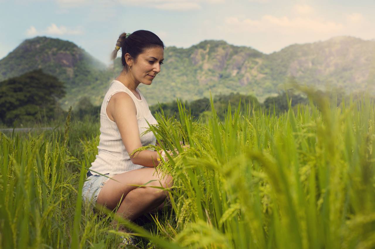 rice, field, green, nature, plant, crops, agriculture, trees, mountain, people, woman, girl, alone
, 