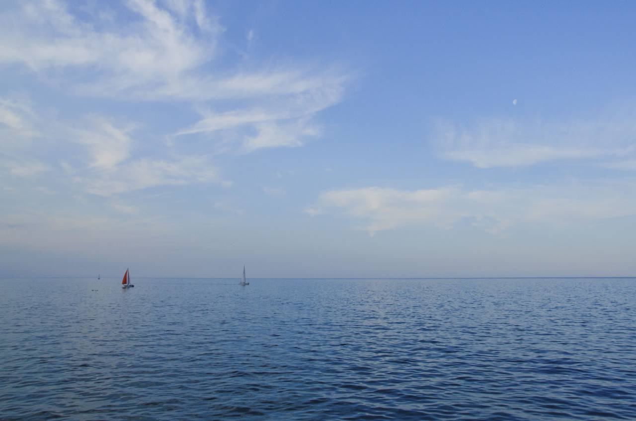 sailboats, ocean, sea, water, horizon, blue, sky, nature
, 