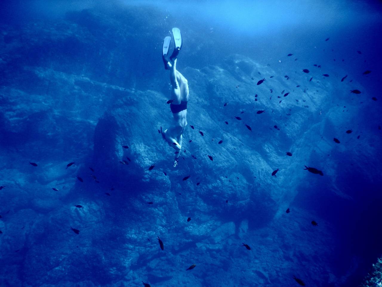 sea, ocean, blue, water, nature, underwater, people, man, diving, swimming, fish, coral, reef
, 