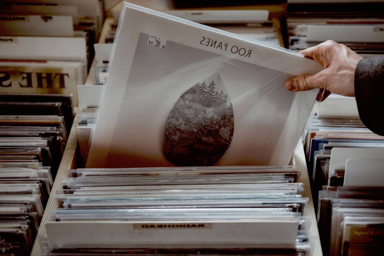 colección, gente, mano, paneles, roo, tienda, vinilos